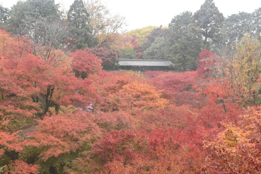 東福寺