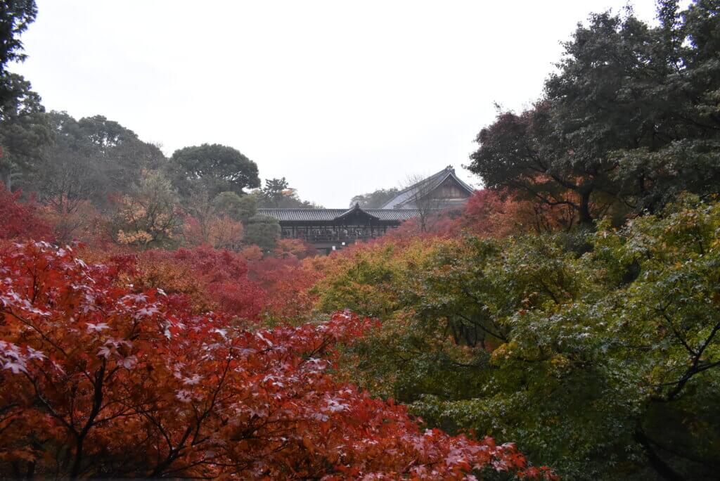 東福寺