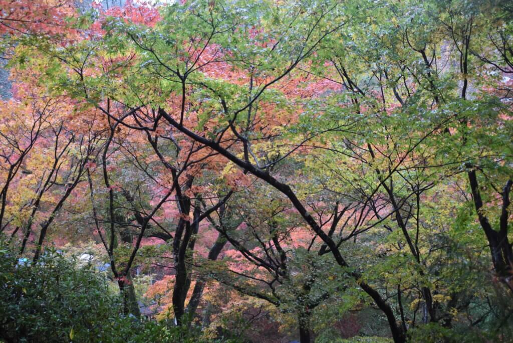 東福寺