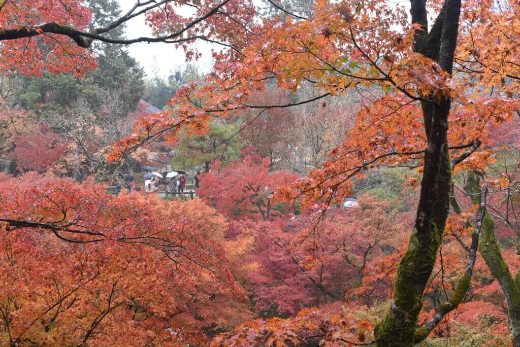 東福寺