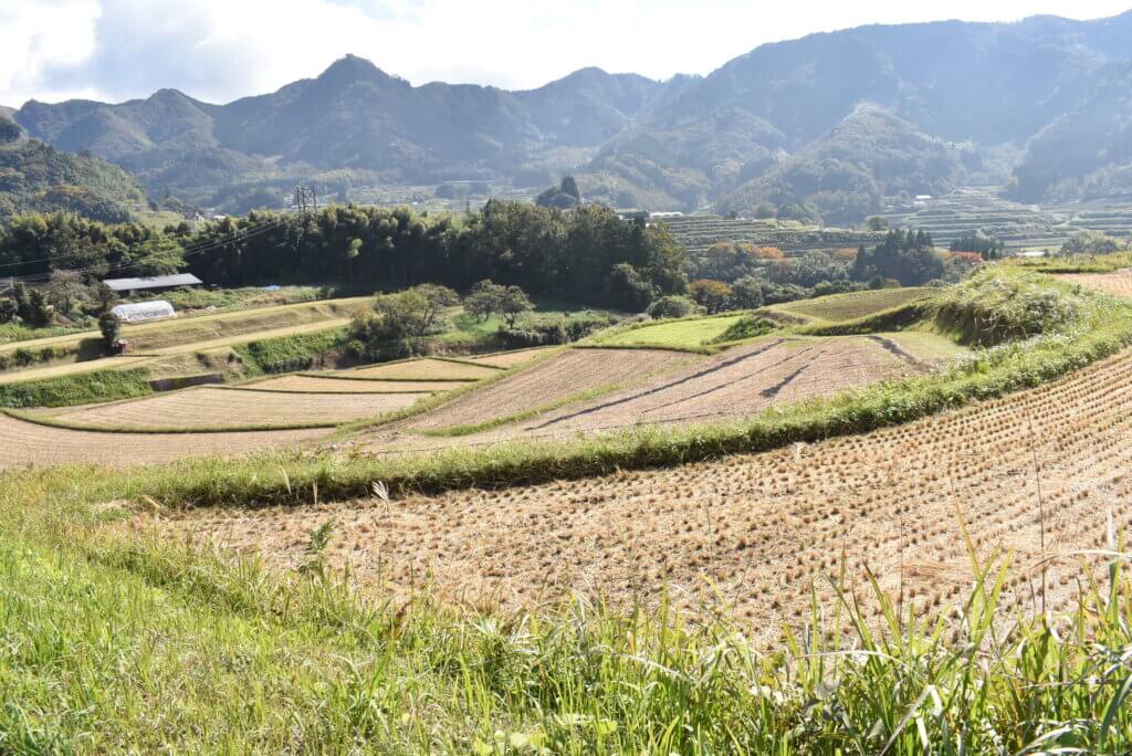 栃又棚田