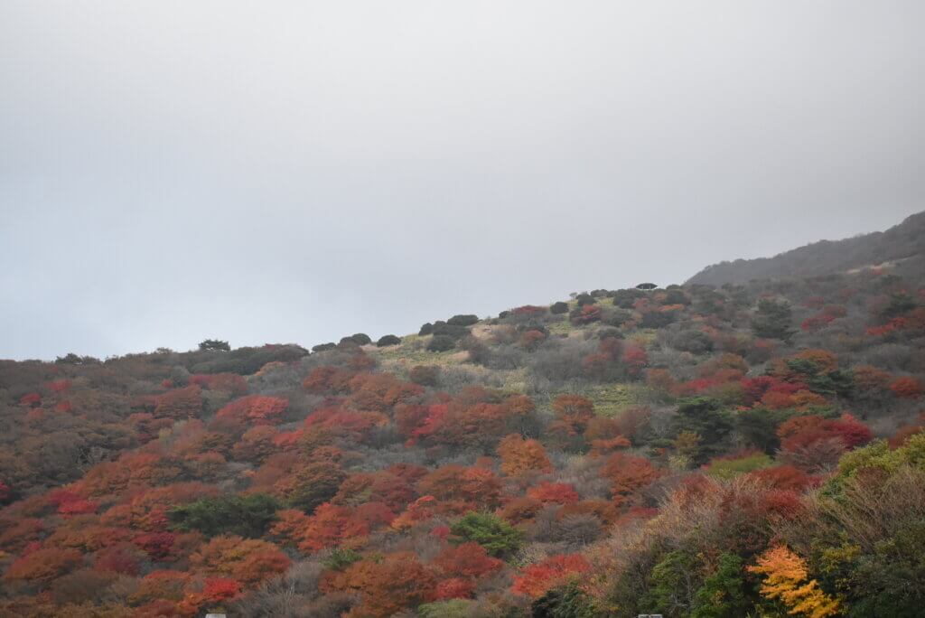 牧ノ峠展望台