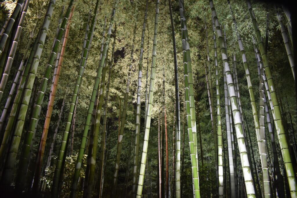 高台寺