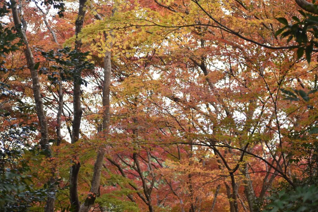 大河内山荘