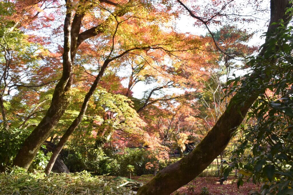 宝厳院