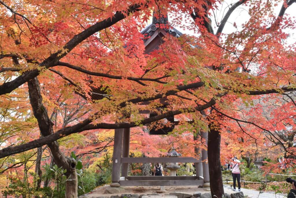 常寂光寺