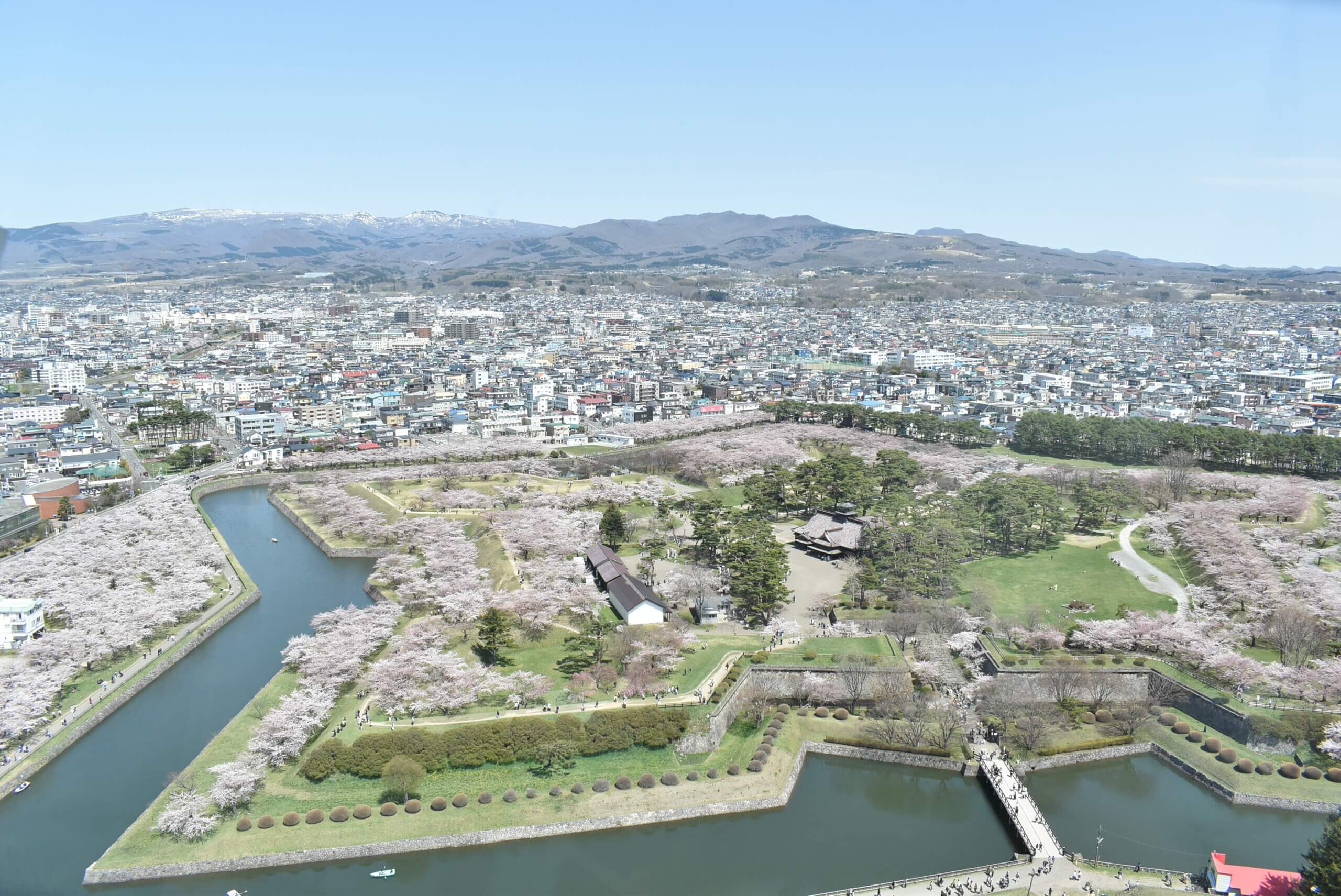 はこだて割とana減額マイルを活用しての函館旅行 人生100年時代の第二の人生
