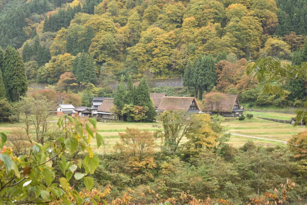 五箇山_菅沼