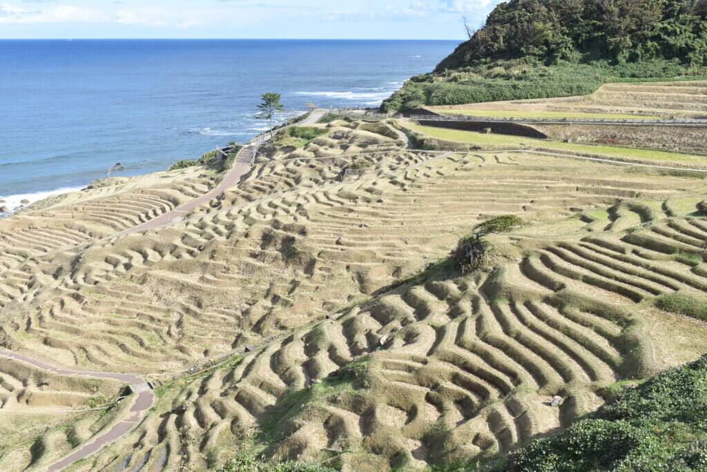 白米千枚田