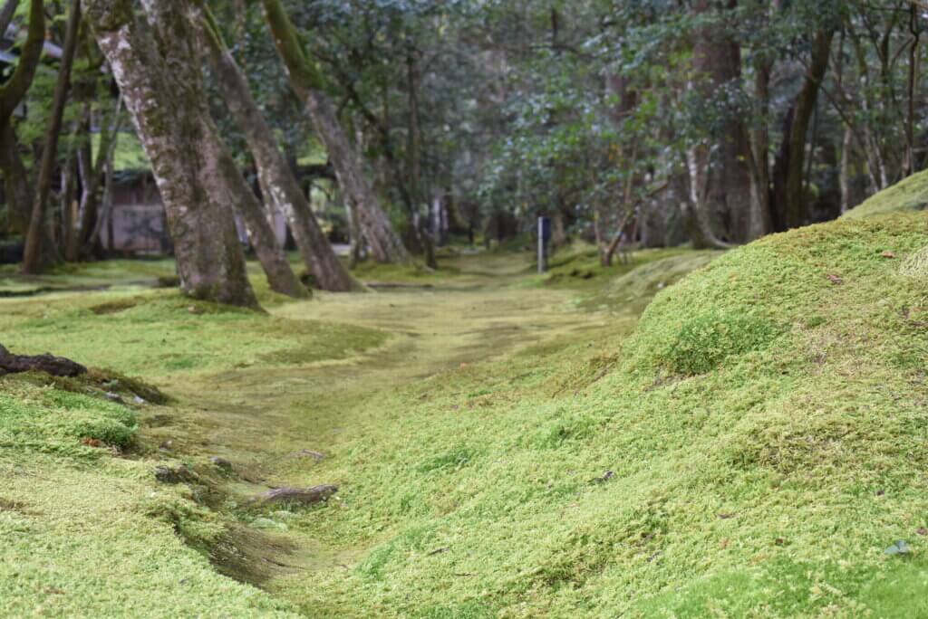 那谷寺