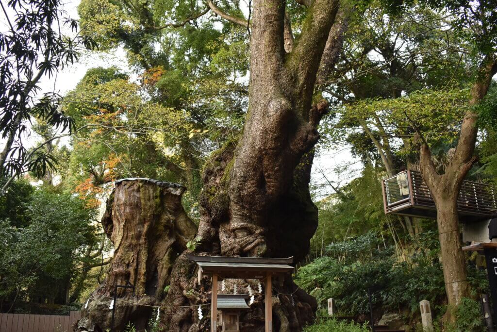 来宮神社