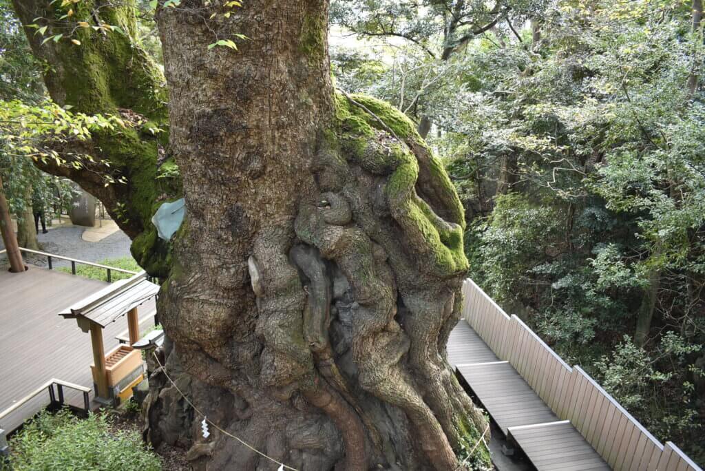 来宮神社