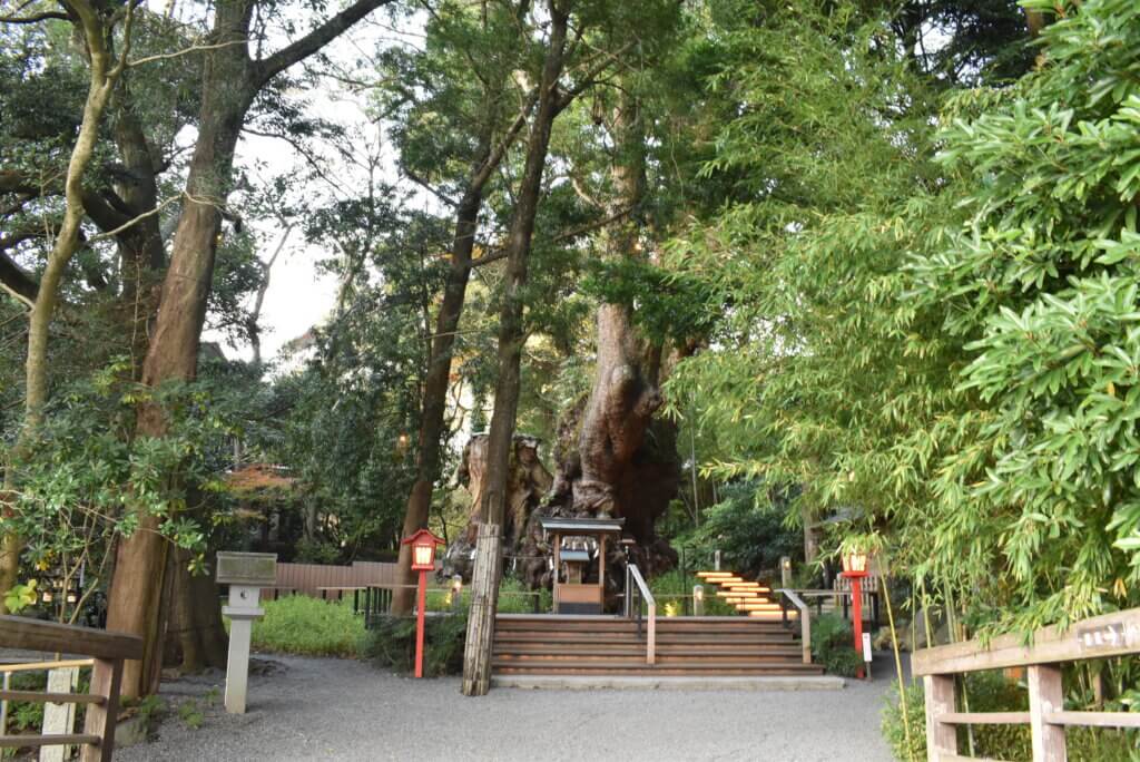 来宮神社