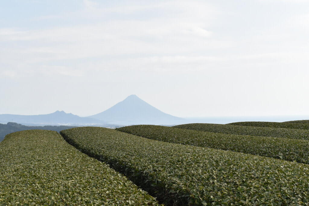 茶ばっけん丘