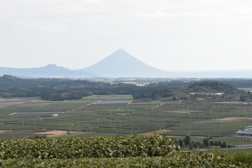 茶ばっけん丘