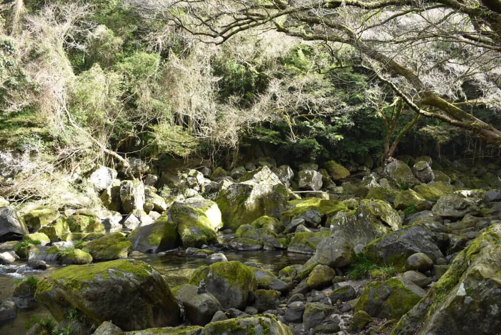 雄川の滝